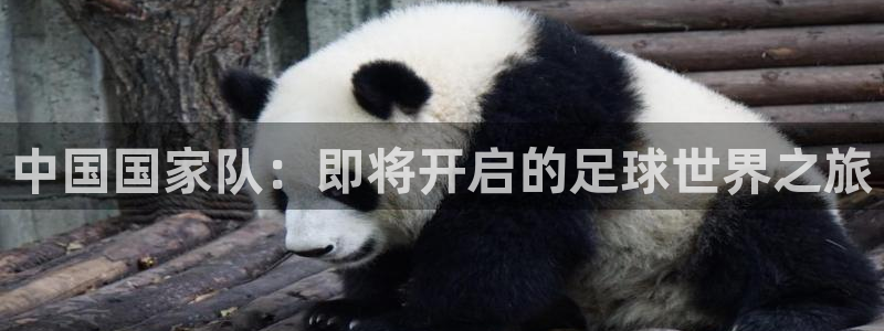 世界杯2026赛程时间表格:中国国家队:即将开启的足球世界之旅