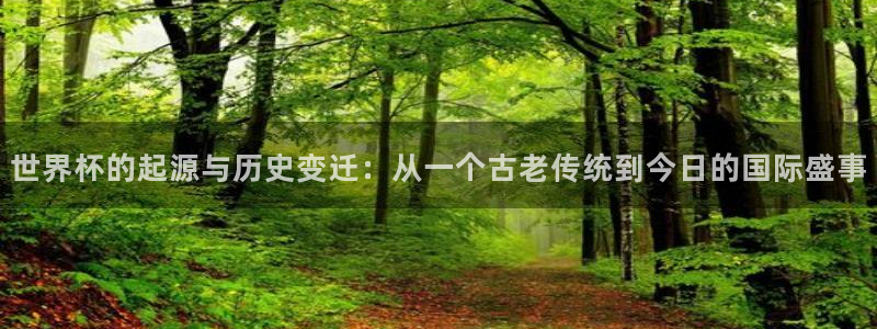 今年的世界杯:世界杯的起源与历史变迁:从一个古老传统到今日的国际盛事