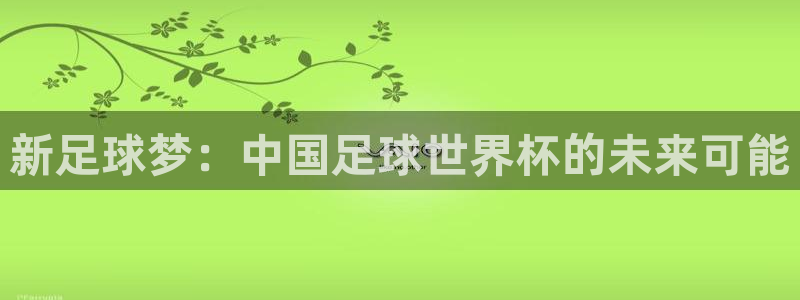 世界杯在线直播:新足球梦:中国足球世界杯的未来可能