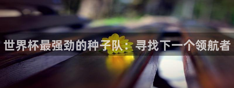 世界杯今日赛程直播:世界杯最强劲的种子队:寻找下一个领航者