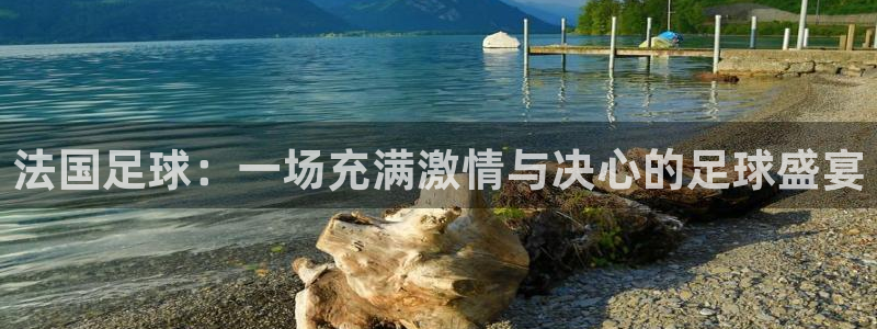 世界杯预选赛欧洲赛区积分榜:法国足球:一场充满激情与决心的足球盛宴