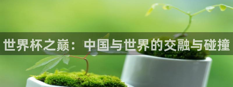 世界杯球队:世界杯之巅:中国与世界的交融与碰撞