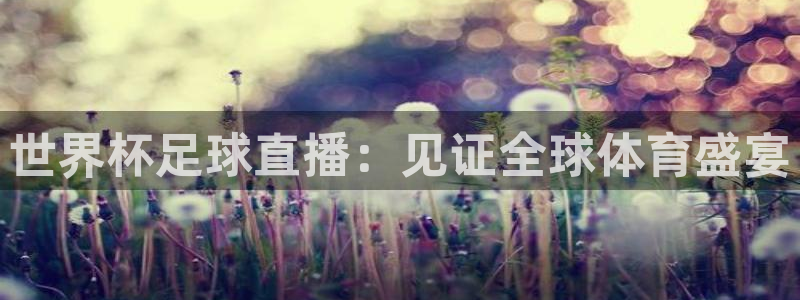 世界杯足球赛2026:世界杯足球直播:见证全球体育盛宴