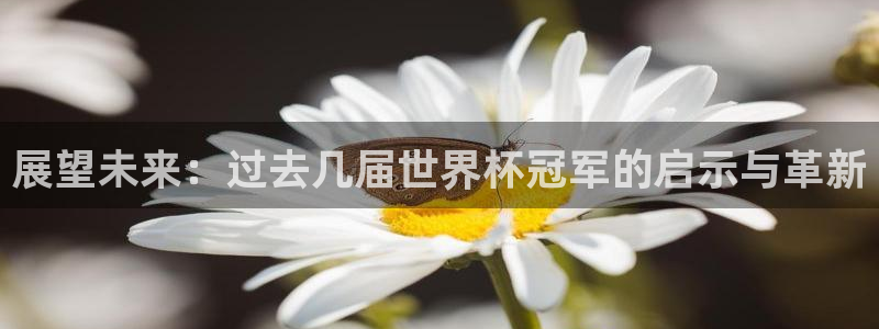世界杯 赛程:展望未来:过去几届世界杯冠军的启示与革新