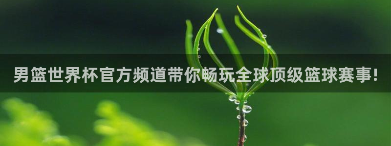 世界杯2026赛程时间表格:男篮世界杯官方频道带你畅玩全球顶级篮球赛事!