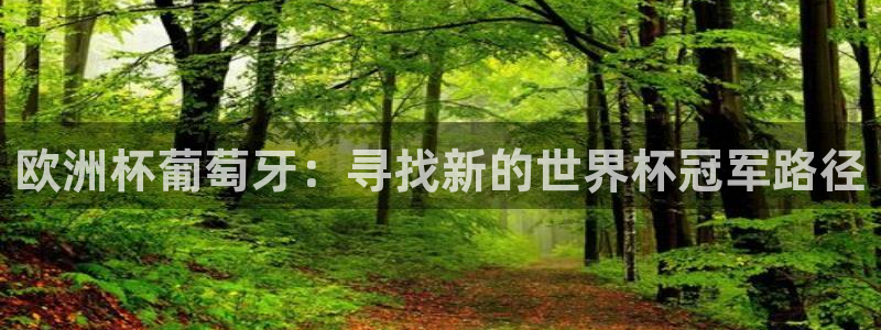 免费看足球直播比赛:欧洲杯葡萄牙:寻找新的世界杯冠军路径