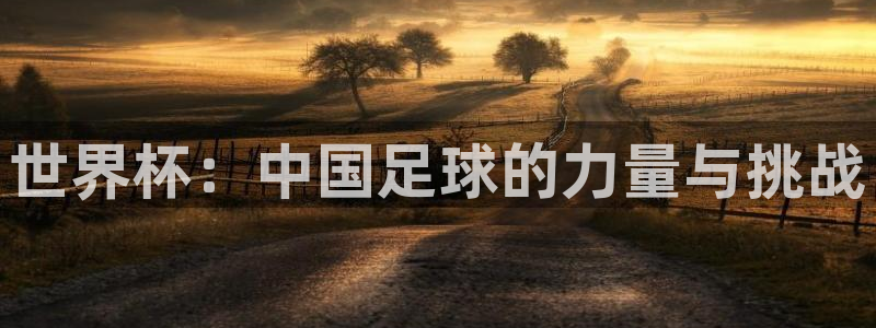 世界杯预选赛规则:世界杯:中国足球的力量与挑战
